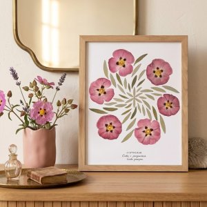 Affiche Ciste pourpre – 24×30 cm