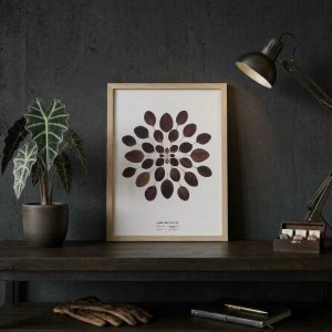 Affiche Arbre à perruques – 30×40 cm