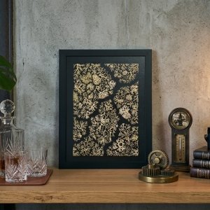 Affiche Lichen n°1 sur Fond Noir – 30×40 cm
